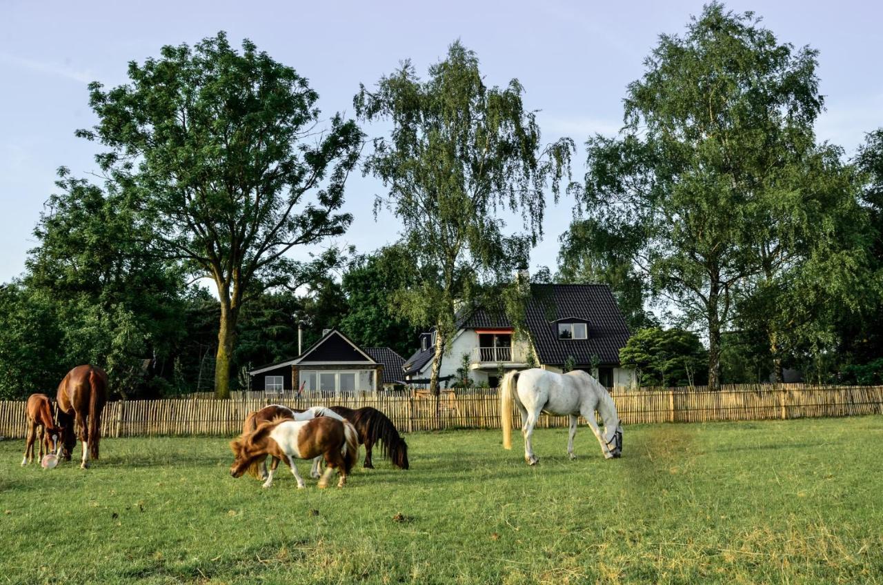 Bed & Breakfast De Zandhoef Eersel Exteriör bild