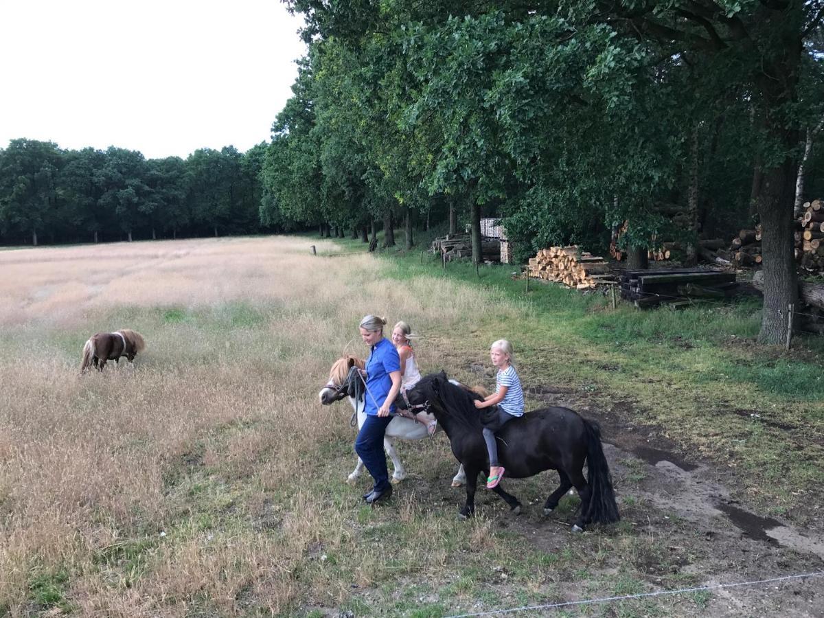 Bed & Breakfast De Zandhoef Eersel Exteriör bild